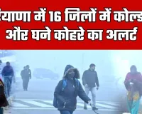 Haryana Weather: हरियाणा में 16 जिलों में कोल्ड वेव और घने कोहरे का अलर्ट, देखें पूरी वेदर रिपोर्ट 