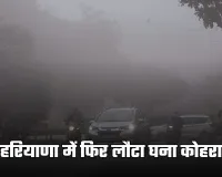 Haryana Weather: हरियाणा में फिर लौटा घना कोहरा, इन जिलों में अलर्ट जारी 