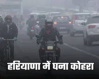 Haryana Weather: हरियाणा में घना कोहरा, इन जिलों में शीतलहर की चेतावनी
