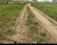 भूमाफियाओं ने पटपर जलप्रपात मार्ग किया बंद, मारपीट करने के बाद भी पुलिस-प्रशासन मौन!