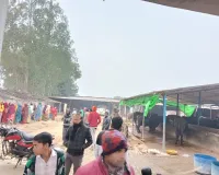 मवेशियों के बाड़े में संदिग्ध परिस्थितियों में लगी आग,एक भैंस की मौत छह गंभीर