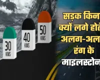 Highway Milestone: सड़क किनारे क्यों लगे होते हैं अलग-अलग रंग के माइलस्टोन? जानें क्या है इनका मतलब