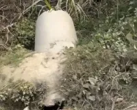 दो दिन पूर्व हुई घटना में लोगों पर डकैती का मुकदमा दर्ज।