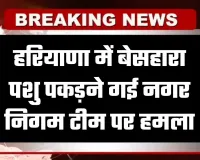 Haryana: हरियाणा में बेसहारा पशु पकड़ने गई नगर निगम टीम पर हमला, जानें पूरा मामला 