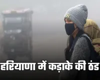 Haryana Weather: हरियाणा में कड़ाके की ठंड, 13 जिलों में कोहरे का ऑरेंज अलर्ट