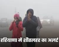 Haryana Weather: हरियाणा में शीतलहर का अलर्ट, सरकार ने जारी की बचाव एडवाइजरी