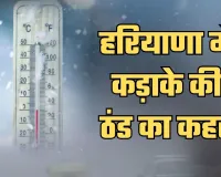 Haryana Weather: हरियाणा में कड़ाके की ठंड का कहर, इस दिन से बदलेगा मौसम