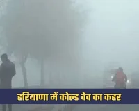 Haryana Weather: हरियाणा में कोल्ड वेव का कहर, दिन में भी रात जैसी ठंड