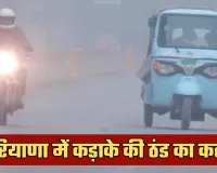 Haryana Weather: हरियाणा में कड़ाके की ठंड का कहर, कई जिलों में कोल्ड डे की चेतावनी