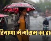 Haryana Weather: हरियाणा में अगले 7 दिनों में कैसा रहेगा मौसम? देखें पूर्वानुमान 