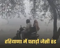 Haryana Weather: हरियाणा में पहाड़ों जैसी ठंड, 13 जिलों में ऑरेंज अलर्ट