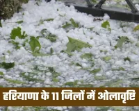 Haryana Weather: हरियाणा में नए पश्चिमी विक्षोभ से मौसम का कहर, 11 जिलों में ओलावृष्टि