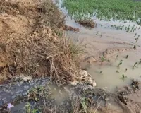 बलरामपुर में इटवा रजवाहा नहर कटी, फसलें जलमग्न