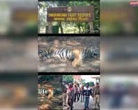 वन विभाग की दोहरे मापदण्ड से उपजते सवाल 