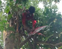 बड़हलगंज में दर्दनाक हादसा: पतंग उड़ाते समय हाईटेंशन लाइन की चपेट में आया 10 वर्षीय मासूम, करंट लगने से मौत