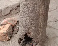  जर्जर बिजली का पोल में  जंग लगने के कारण टूट चुका है कभी भी गिर सकता है। बड़े हादसे के इंतजार में जिम्मेदार अधिकारी