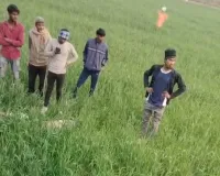 कसया क्षेत्र में दर्दनाक हादसा: बाइक अनियंत्रित होकर खेत में गिरी, युवक की मौत