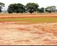 छह अधिवक्ताओं समेत आठ पर रिपोर्ट, ट्रस्ट के फर्जी पट्टे के जरिए जमीन कब्जाने का आरोप