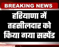 Haryana: हरियाणा में तहसीलदार को किया गया सस्पेंड, जानें वजह