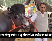 Haryana: हरियाणा के कुरुक्षेत्र पशु मेले में 21 करोड़ का झोटा कुबेर, देखने उमड़ी भीड़