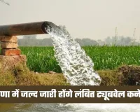 Haryana: हरियाणा में किसानों के लिए खुशखबरी, जल्द जारी होंगे लंबित ट्यूबवेल कनेक्शन 