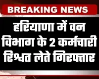 Haryana: हरियाणा में ACB टीम का एक्शन, वन विभाग के 2 कर्मचारी रिश्वत लेते गिरफ्तार