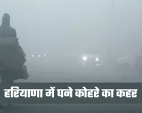 Haryana Weather: हरियाणा में घने कोहरे का कहर, येलो अलर्ट जारी