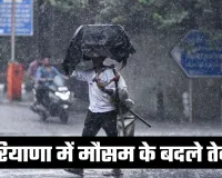 Haryana Weather: हरियाणा में मौसम के बदले तेवर, ठंड-धूप का मिला-जुला असर