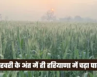 Haryana Weather: फरवरी के अंत में ही हरियाणा में चढ़ा पारा, 31 डिग्री तक पहुंचा तापमान