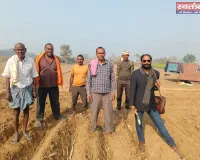 गन्ने की खेती की ओर बढ़ा किसानों का रुझान