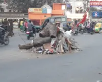 नगर निगम के अंतर्गत आने वाले सभी  वार्डों में गोबर के उपले उपलब्ध कराए जाएंगे