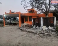 मोहनलालगंज: रसूख के साये में 'वन संपदा' पर संकट, 10 बीघा सुरक्षित भूमि पर अवैध कब्जे का आरोप