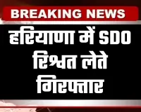 Haryana: हरियाणा में SDO रिश्वत लेते गिरफ्तार, एनओसी के नाम पर मांगे थे सवा लाख रुपये