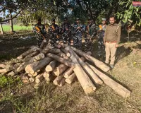 एसएसबी व वन विभाग की संयुक्त कार्रवाई में अवैध सागवान कटान का खुलासा, 28 बोटा जब्त