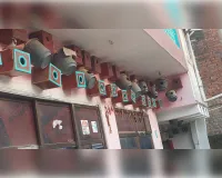 घर पर चिड़ियों का डेरा लगने से मन में होती है खुशी : कंचन वर्मा 