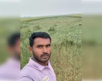 सिद्धार्थनगर : बरसात के साथ  तेज हवा से खेतों में बिछी गेहूं की फसल