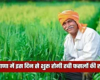 Haryana: हरियाणा में इस दिन से शुरू होगी रबी फसलों की खरीद, जानें तारीख 