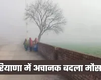 Haryana Weather: हरियाणा में अचानक बदला मौसम, कई इलाकों में घना कोहरा