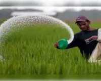 क्या महंगी होगी खाद? यूरिया की किल्लत की खबरों के बीच मोदी सरकार ने जारी किया बयान