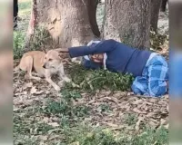 बेटी की मौत पर पिता के साथ रोता रहा पालतू कुत्ता, उस्मापुर में भावुक कर देने वाला दृश्य
