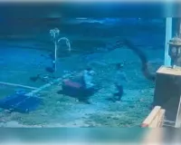 प्रयागराज में वकील के घर लाखों की चोरी, CCTV में कैद हुए चोर