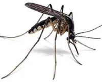 झूंसी क्षेत्र में मच्छरों का बढ़ता प्रकोप, नैका व मायापुरी समेत कई इलाकों में लोगों का जीना हुआ दूभर।