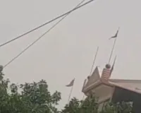 बिजली के तारों पर बिछा डिश-फाइबर का जाल, बड़े हादसों को  दे रहा है दावत