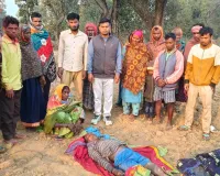 चंदवा के माल्हन पंचायत में जंगली हाथी का कहर