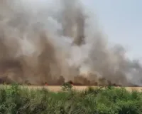 बलिया में भीषण आग का कहर: 100 एकड़ गेहूं राख, 200+ किसान प्रभावित; फायर ब्रिगेड की देरी पर आक्रोश