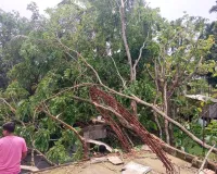 प्रलयंकारी कालबैशाखी तूफान से जिले के दुल्लभछड़ा में भारी नुकसान