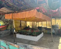 संजय गांधी नेशनल पार्क में ‘अवैध मजार’ पर वन विभाग का एक्शन