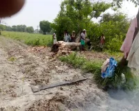 खड्डा: हरे पेड़ों की अवैध कटान पर वन विभाग का शिकंजा, जुर्माना लगते ही मचा हड़कंप