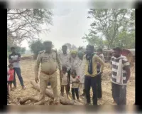 तेंदुए ने बछड़े को बनाया निवाला, दर्जन भर गांवों में दहशत 