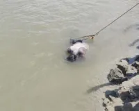 राप्ती नदी में डूबे युवक का शव तीसरे दिन बरामद:बलरामपुर में दो साथियों के साथ के साथ नहाने गया था